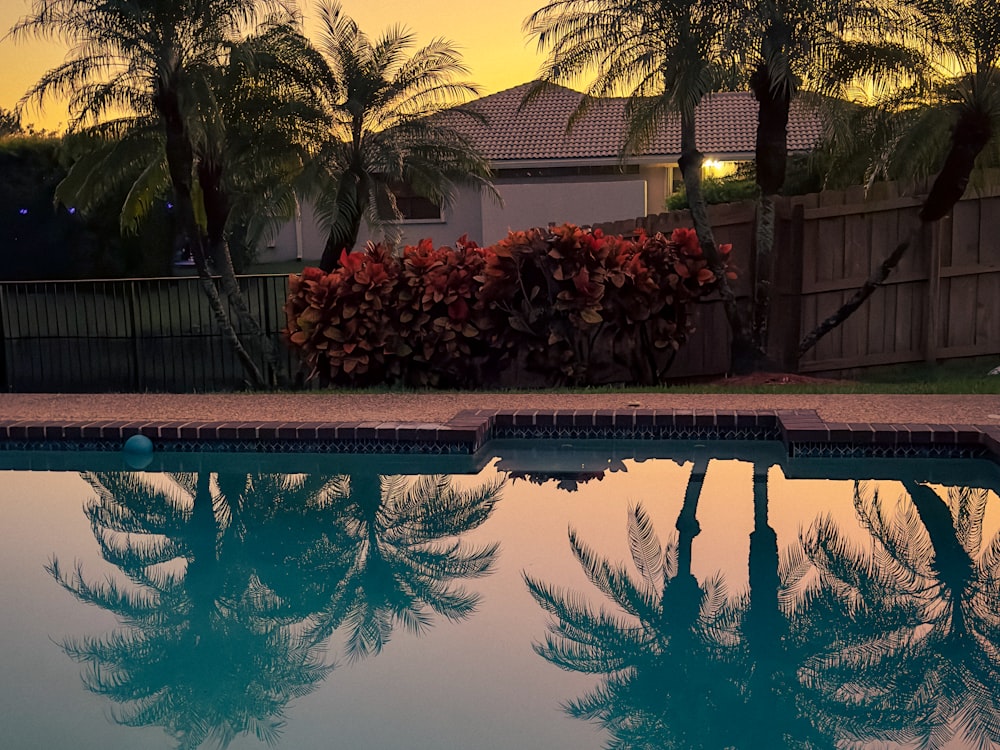A maintained backyard pool beside a modern home and lawn