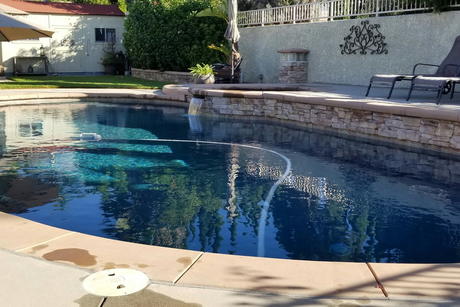 A clean residential swimming pool in a landscaped Florida backyard